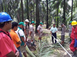 Asian agri
