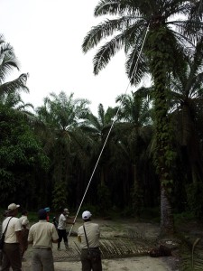 PT. ASAM JAWA