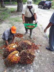 PT. Asam Jawa (Basket) 2