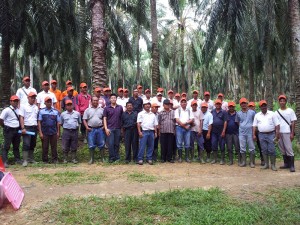 PT. TOLAN TIGA (SIPEF) 2